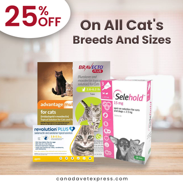 Save Big on Cat Supplies: 25% Off + Free Shipping at Canada Vet Express